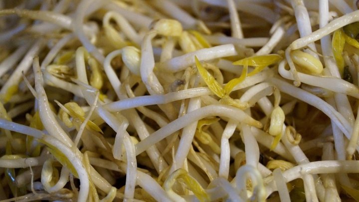 食材 記事 サムネイル