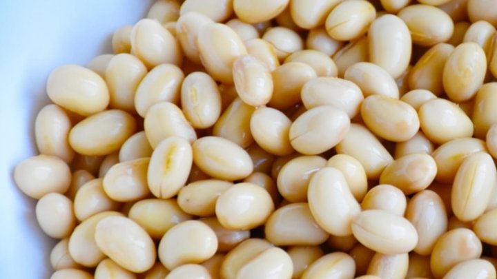 食材 記事 サムネイル