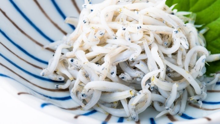 食材 記事 サムネイル