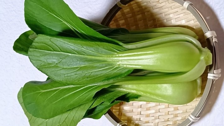 食材 記事 サムネイル