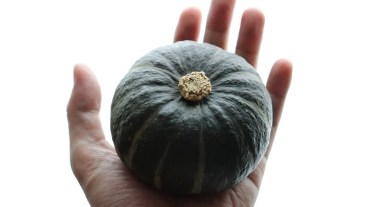 食材 記事 サムネイル