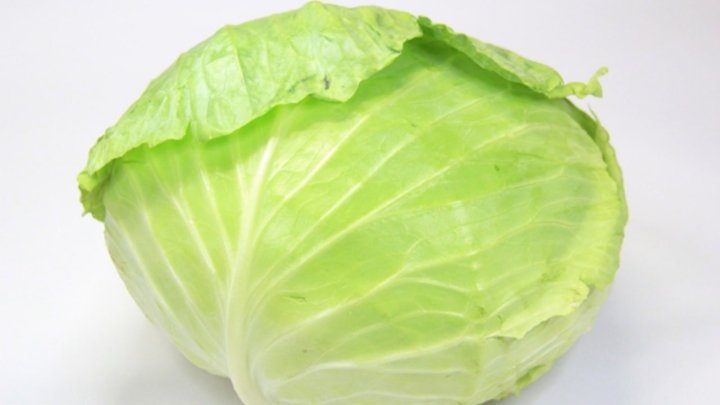 食材 記事 サムネイル