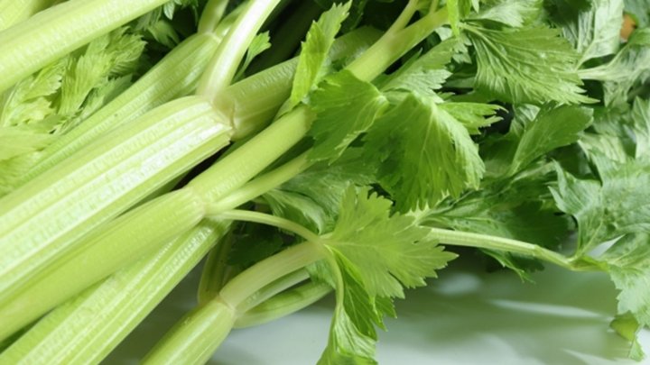 食材 記事 サムネイル