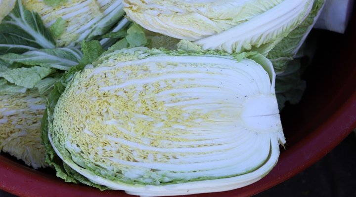 食材 記事 サムネイル