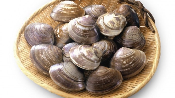 食材 記事 サムネイル