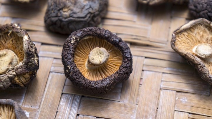 食材 記事 サムネイル