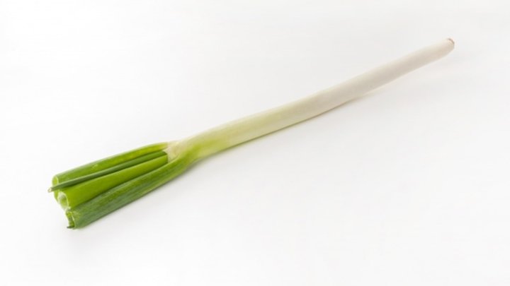 食材 記事 サムネイル