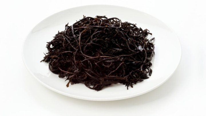 食材 記事 サムネイル