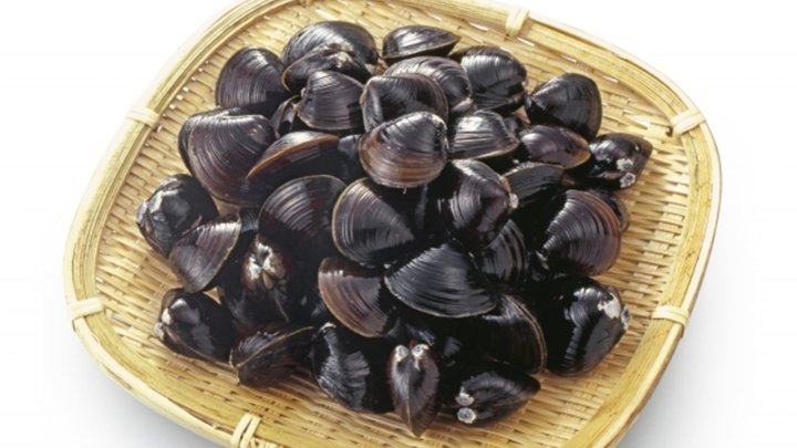 食材 記事 サムネイル