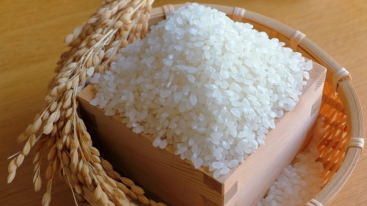 食材 記事 サムネイル