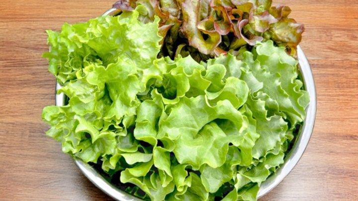 食材 記事 サムネイル