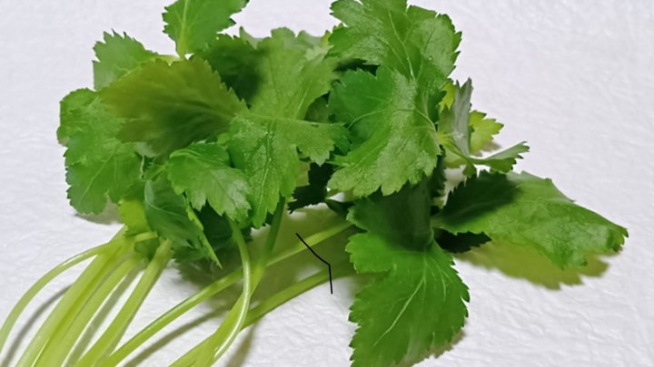 食材 記事 サムネイル