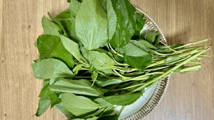 食材 記事 サムネイル