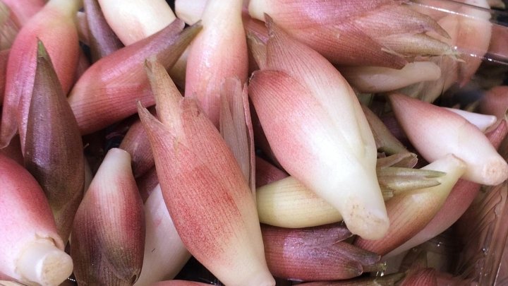 食材 記事 サムネイル