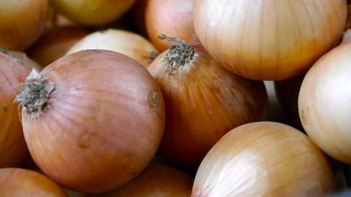 食材 記事 サムネイル