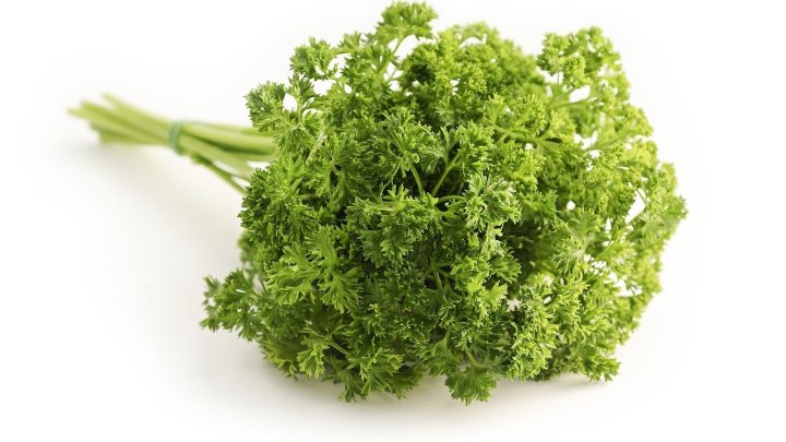 食材 記事 サムネイル