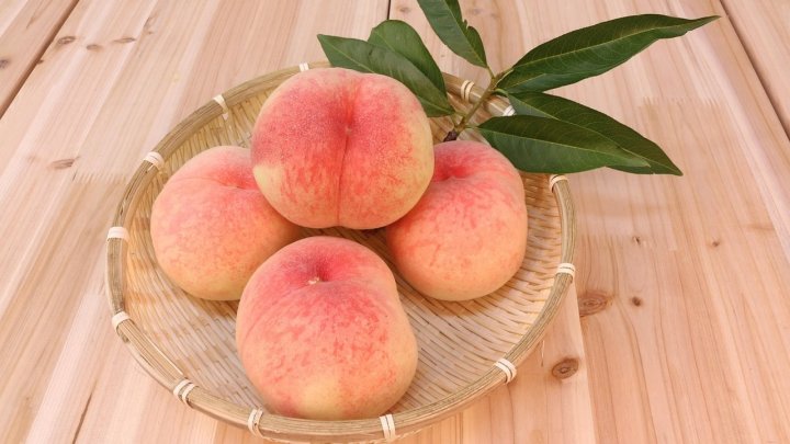 食材 記事 サムネイル