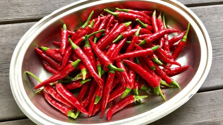 食材 記事 サムネイル