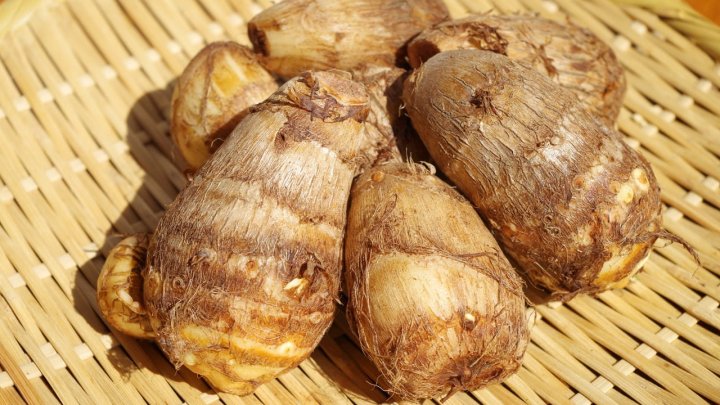 食材 記事 サムネイル