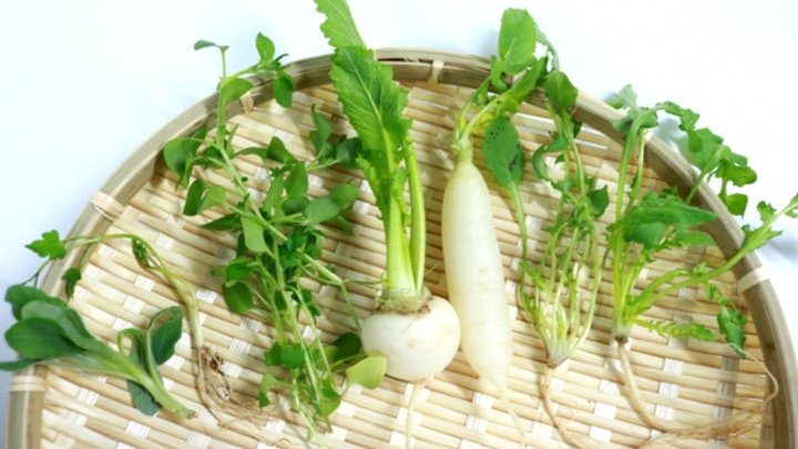 食材 記事 サムネイル