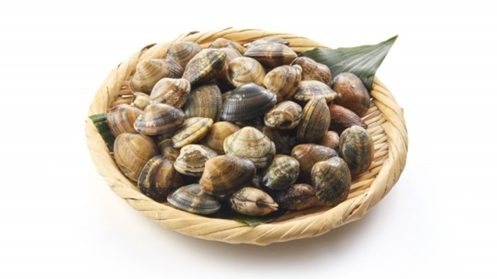 食材 記事 サムネイル