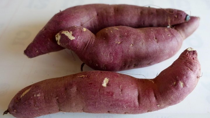 食材 記事 サムネイル