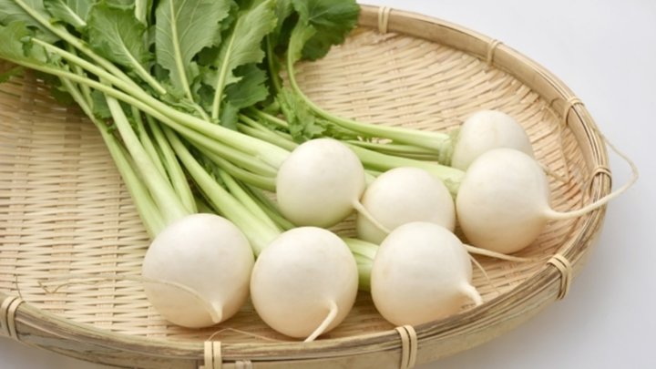 食材 記事 サムネイル