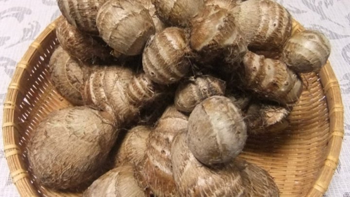 食材 記事 サムネイル