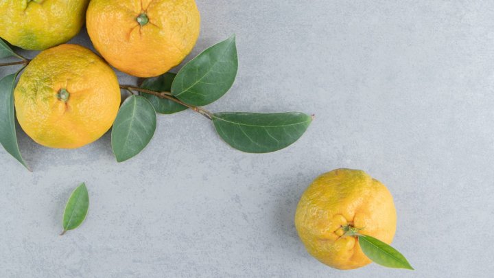 食材 記事 サムネイル